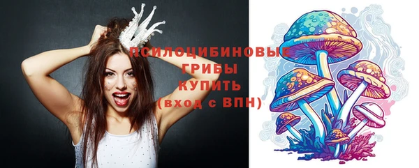 не бодяженный Верхний Тагил