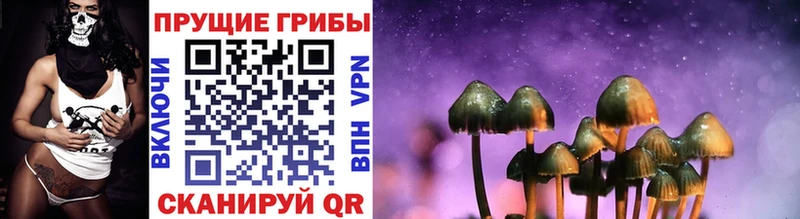 Галлюциногенные грибы Cubensis  Надым 